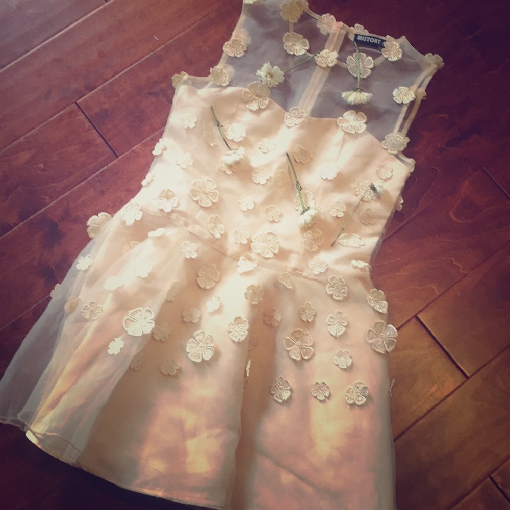 Teens and women’s Mistory party ball gown beige.